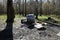 Old broken armchair in a spring forest among birch trees.