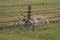 old broken bikes parked by the field