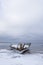 Old broken boat wreck and rocky beach in wintertime. Frozen sea, evening light and icy weather on shore like fairy tale country