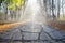 Old broken concrete road with fog and sun rays