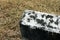 Old broken gravestone covered with moss at historic cemetery