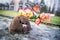 Old broken military helmet with flowers. Day of memory. Soldier`s helmet of a warrior of the USSR with bullet holes of