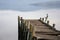 Old broken pier with seagull