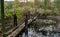 Old broken rotten wooden bridge on an overgrown pond surrounded by trees