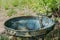 Old broken sink in the forest in Ukraine