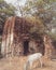 An old broken temple And the cows are eating grass there