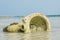 Old broken toilet in the ocean at the tropical beach