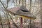 Old broken wooden canopy on an abandoned playground among the trees in ghost town Pripyat, Chernobyl Exclusion Zone, Ukraine