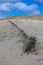 Old broken wooden dune fence, Curonian spit, Lithuania, Baltic sea coast