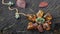 An old brooch with natural green jadeite and pieces of Baltic amber are beautifully laid out in the shape of a flower on the old t