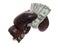 Old brown boxing glove with dollars