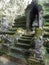 Old Buddha sculpture in Pagoda under big tree