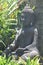 Old buddha statue in the rainforest