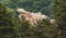 Old building landmark top view suburban district surround by park outdoor environment space moody soft colors lighting in August