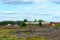 An old building with a sagging roof near an abandoned sawmill field.