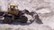 An Old Bulldozer Moves Sand Using a Bucket on Construction Site