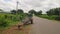 An old bullock cart parked at roadside