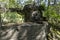 old bunker pieces in the forest