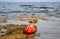 Old buoy of red color, thrown ashore