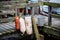 Old buoys on wooden bridge