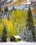 Old Cabin in the San Juan Mountains of Colorado