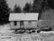 Old cabin at the tide line