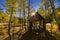 Old cabin in woods, Truckee, California