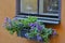 Old cafe window with flower box, on a orange stucc