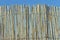 Old cane fence texture