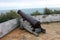 Old Cannon