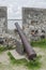 Old cannon of Fortaleza de Santa Catarina