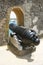 Old cannon, historic weapon