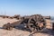 old cannons on mehrangarh fort