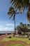 Old cannons and palm tree at the waterfront of Saint Denis on Reuinion island