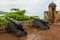 Old cannons at San Felipe Fort looking to the seaside in Puerto Plata, Dominican Republic.