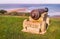 A old canon points out to sea on Tankerton slopes, Whitstable looking out over the sand bank