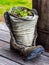 Old Canvas Boot Plant Pot, Rustic Decor, Succulent