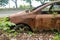 An Old Car Covered in Vines and Pinestraw