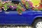 Old car with flowerpots of flowers multicolored viola, petunia in a regional park