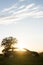 An old car, silhouetted against the sunset. In a field on a summers evening