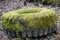 old car tire covered with moss