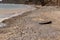 Old car tires on the beach,Water and sea coast pollution car tires on sand beach,An image of an old car tire ingrown into the sand