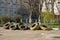 Old car tires used to create flower beds, street decor, fence