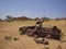 old car wreck standing in the desert of Kaokoland Namibia