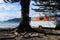 Old caravan camping on empty beach in New Zealand