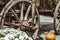 Old carriage with rusty wheels and pumpkins