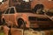 Old cars corroded on junkyard