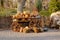 An old cart with a harvest of pumpkins