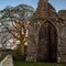 Old castle near Trim Co Meath.