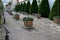 Old castle orangery with wooden flowerpots in the shape of a block. they have a square pattern and stand in rows in a regular grid